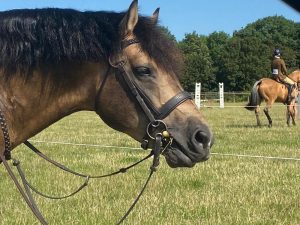 Equestrian Event First Aid Cheshire
